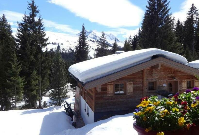 דירת חדר, Astn Hütten Residenz Waldsicht Königsleiten Ferienwohnungen