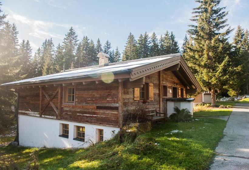 Апартаменты 1 Спальня, Astn Hütten Residenz Waldsicht Königsleiten   Ferienwohnungen