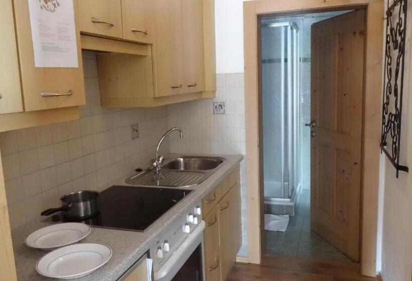 דירת חדר, Astn Hütten Residenz Waldsicht Königsleiten Ferienwohnungen