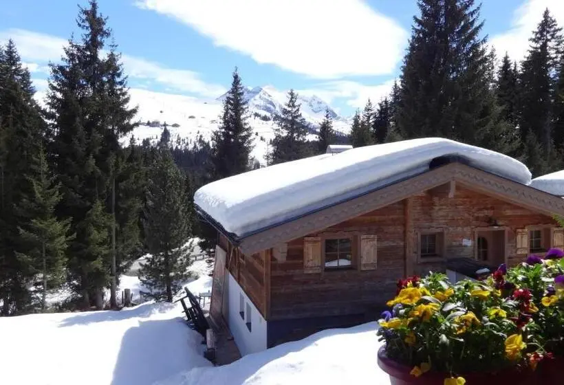 ２ベッドルームアパートメント, Astn Hütten Residenz Waldsicht Königsleiten   Ferienwohnungen