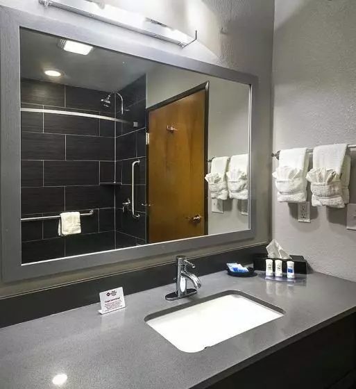 Sviitti Liikuntarajoitteisille, Best Western Plus Lampasas Inn & Suites