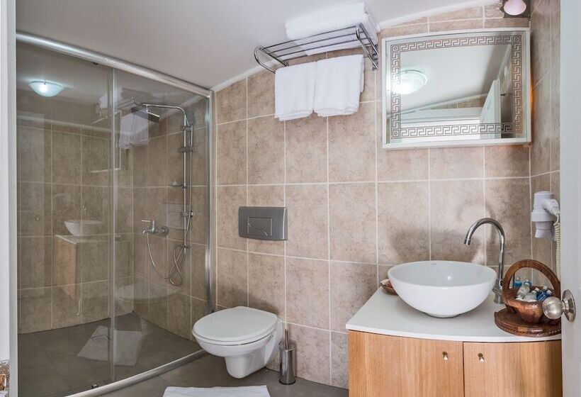 テラス付きスタンダードワンルーム, Cirrus Suites