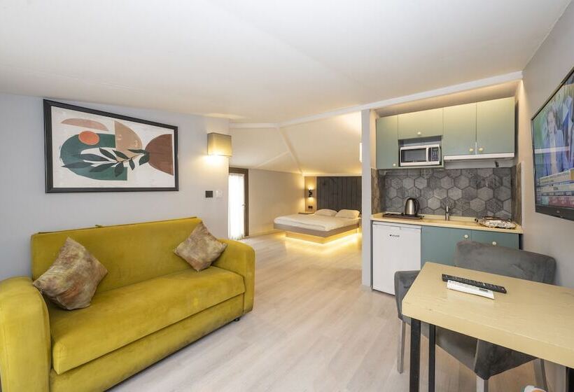 テラス付きスタンダードワンルーム, Cirrus Suites