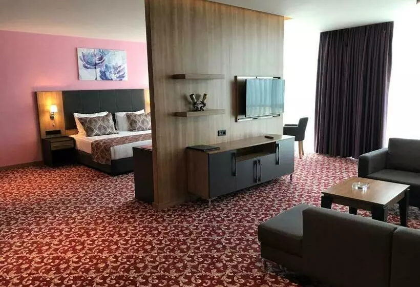 سوییت اجرایی, Euphoria Batumi Convention & Casino