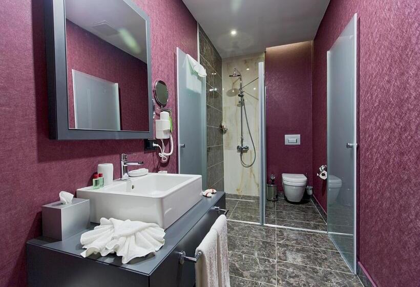 اتاق استاندارد با تخت بزرگ, Euphoria Batumi Convention & Casino