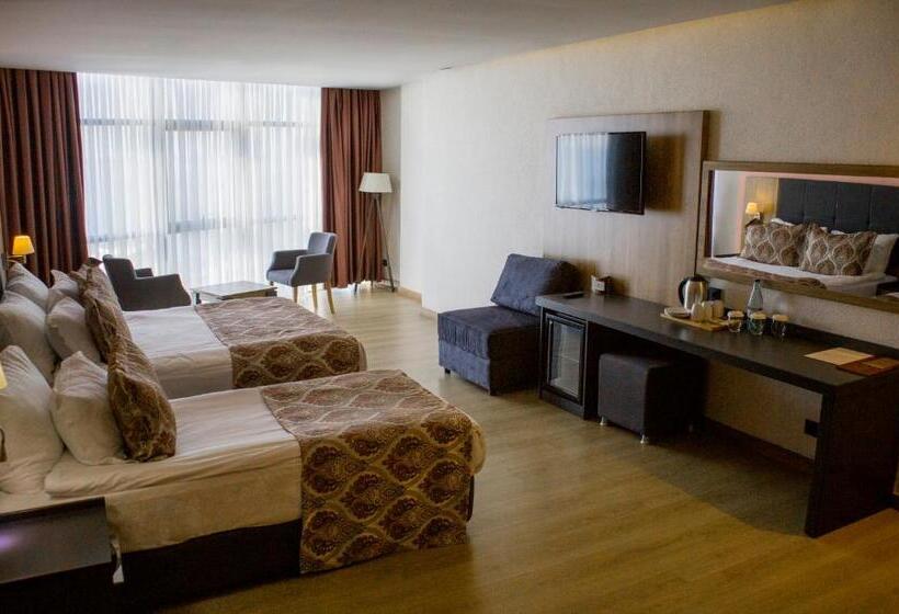 اتاق سوپریور سه تخته, Euphoria Batumi Convention & Casino