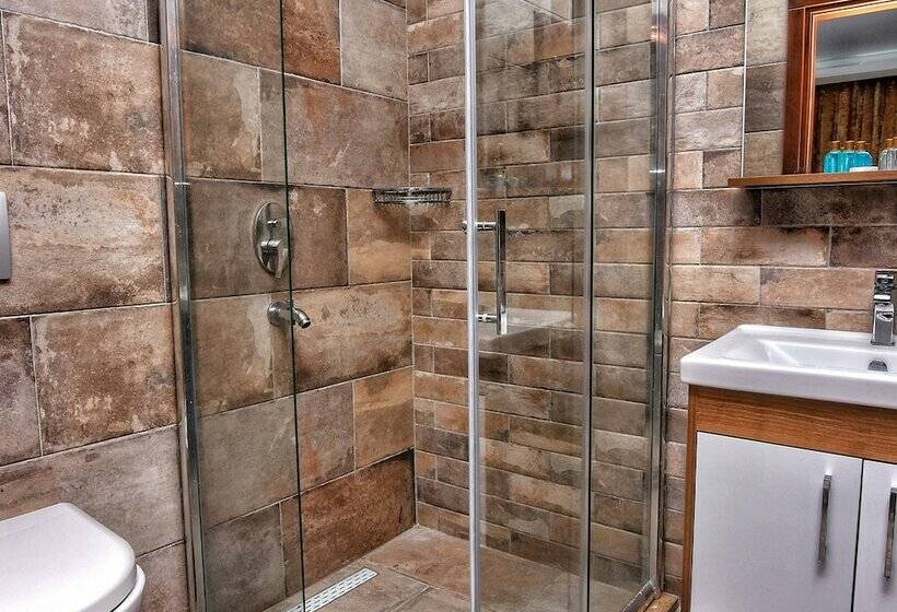 풀장 전망 디럭스 룸, Uzunhan