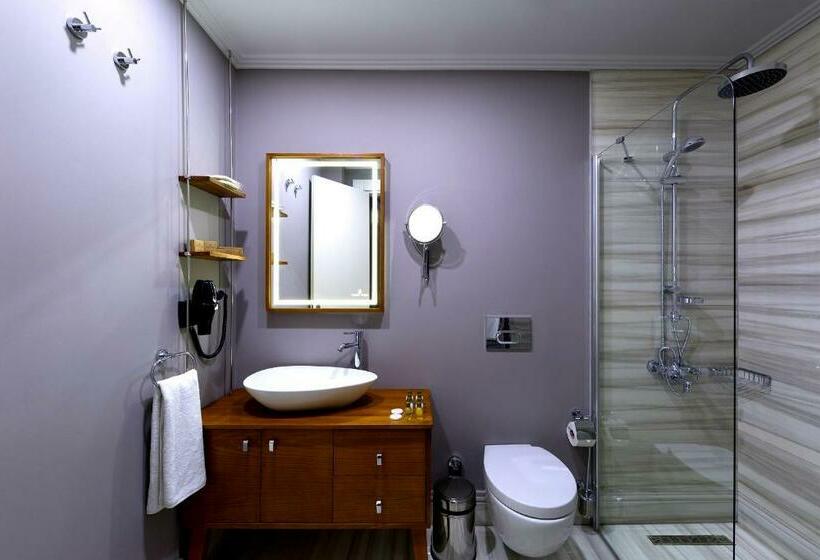 اتاق لوکس, Walton Hotels Galata