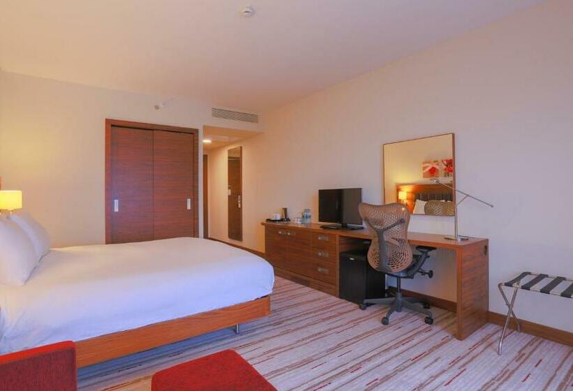 스탠다드 룸 킹사이즈 침대, Hilton Garden Inn Eskisehir
