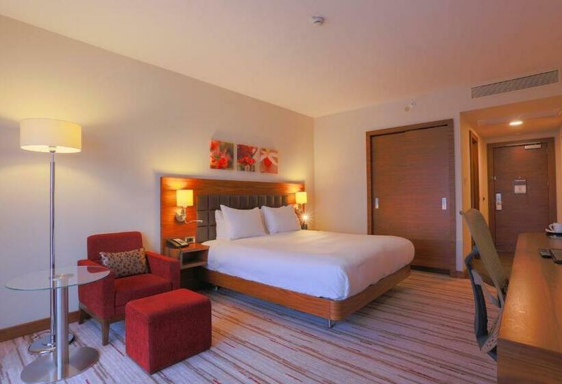 חדר סטנדרט עם מיטת קינג, Hilton Garden Inn Eskisehir