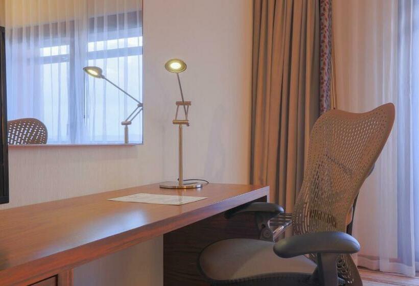 חדר סטנדרט עם מיטת קינג, Hilton Garden Inn Eskisehir