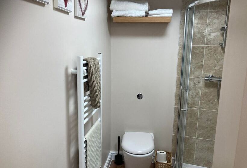 Номер Стандарт, Swan