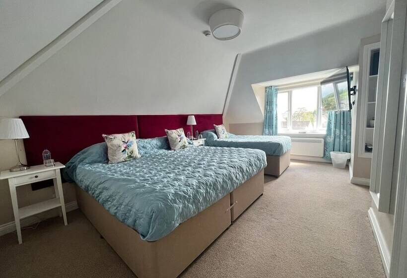 Номер Стандарт, Swan