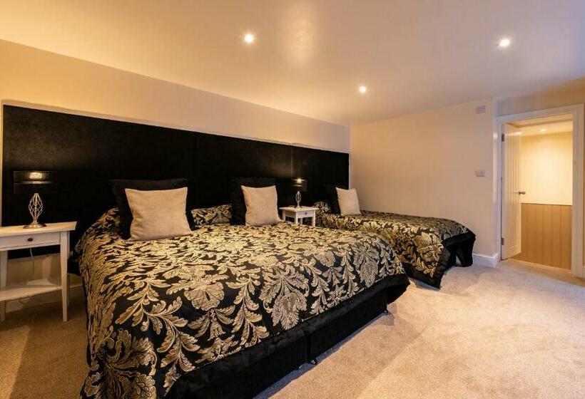 Номер Стандарт, Swan