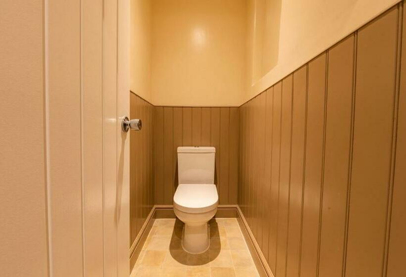 Номер Стандарт, Swan