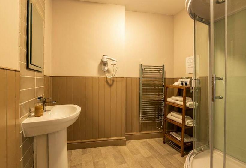 Номер Стандарт, Swan