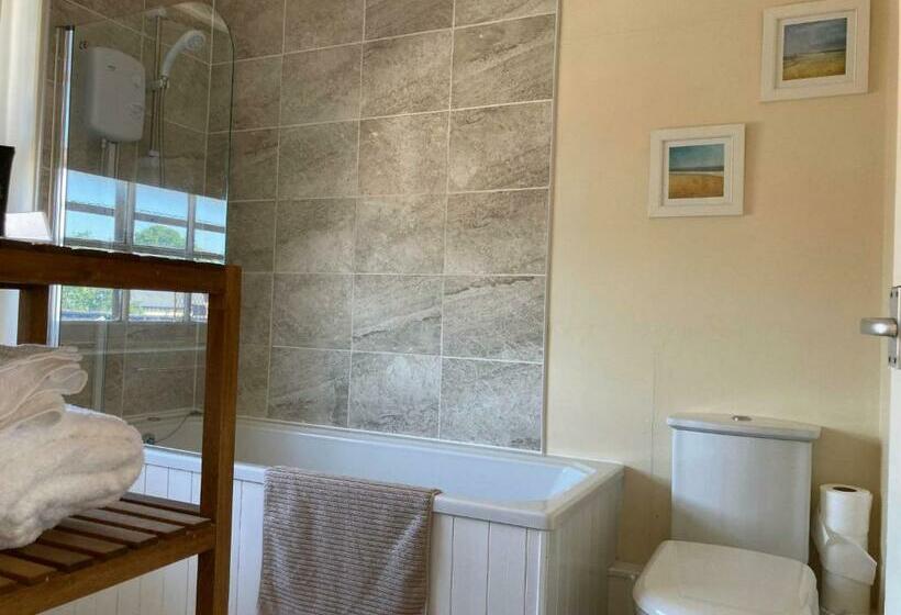 Номер Стандарт, Swan