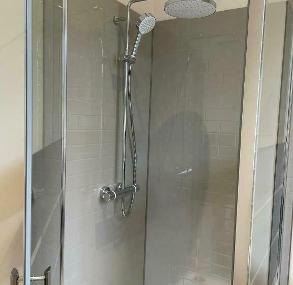 Номер Стандарт, Swan