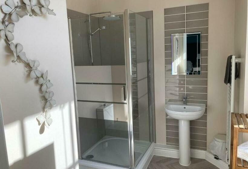 Номер Стандарт, Swan