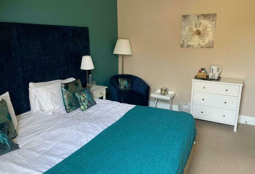 Номер Стандарт, Swan