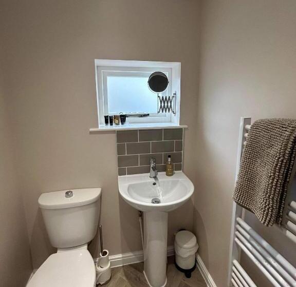 Номер Стандарт, Swan