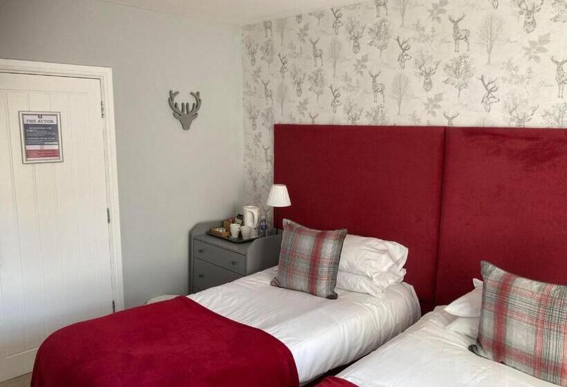 Номер Стандарт, Swan