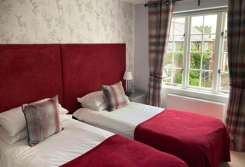 Номер Стандарт, Swan