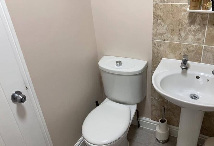 Номер Стандарт, Swan