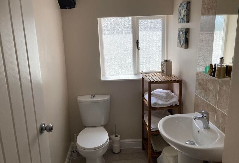 Номер Стандарт, Swan