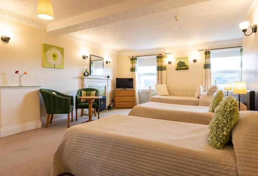 Номер Стандарт, Swan