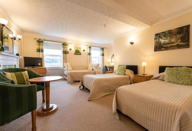 Номер Стандарт, Swan