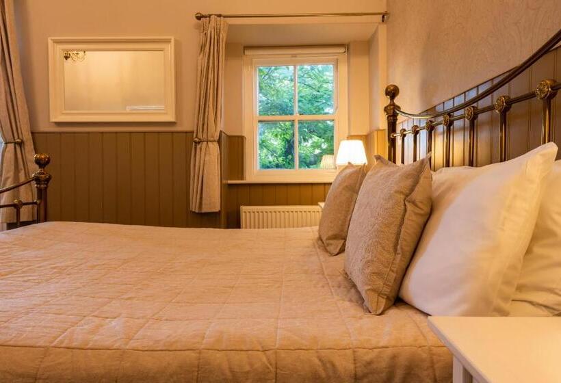 Номер Стандарт, Swan