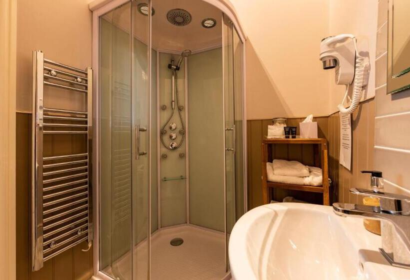 Номер Стандарт, Swan