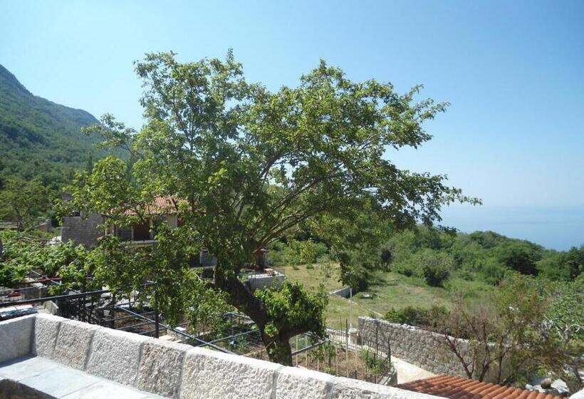 1 Bedroom Apartment with Terrace Sea View, B&b Apart Hotel Paštrovski Konak