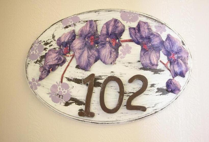 带大床的标准间, Focamor Otel