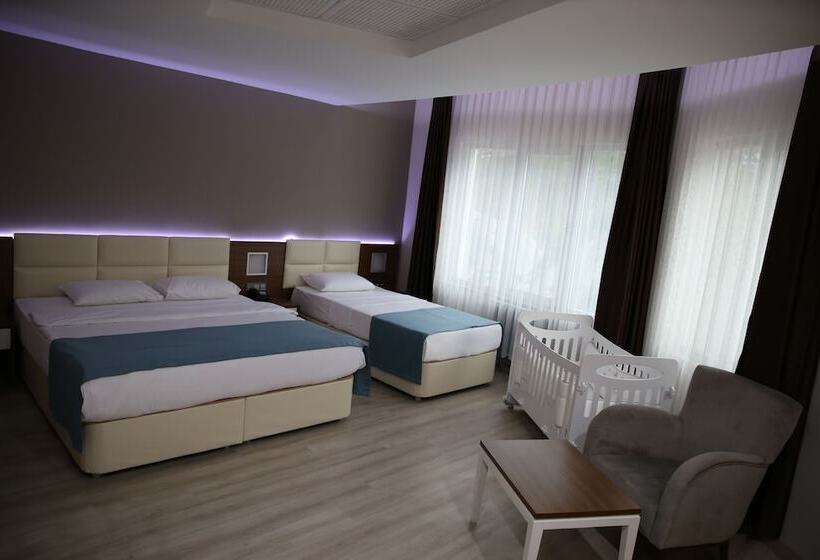 디럭스 트리플 룸, Grand Hotel Artvin