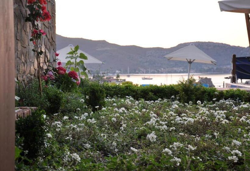 エコノミールーム, Badem Tatil Evi