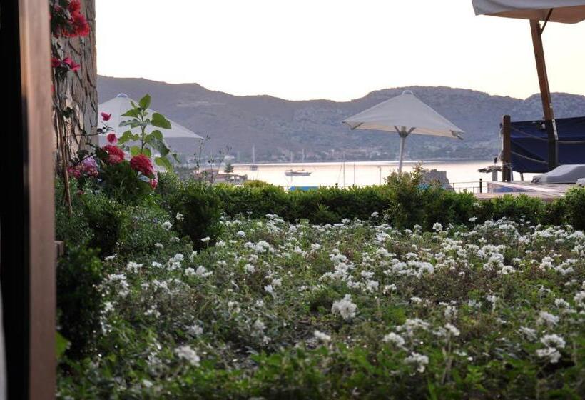 エコノミールーム, Badem Tatil Evi