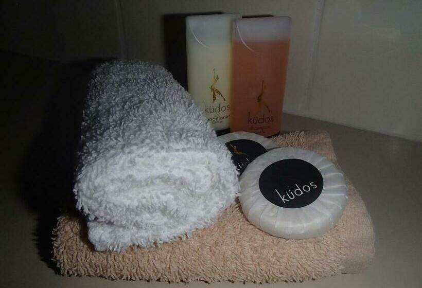 غرفة قياسية, City Colonial Motor Inn