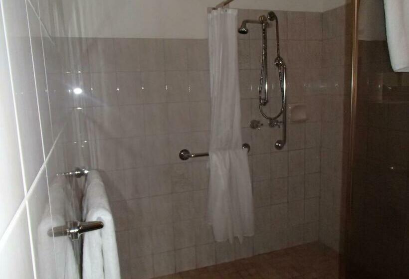 غرفة قياسية لذوى الاحتياجات الخاصة, City Colonial Motor Inn