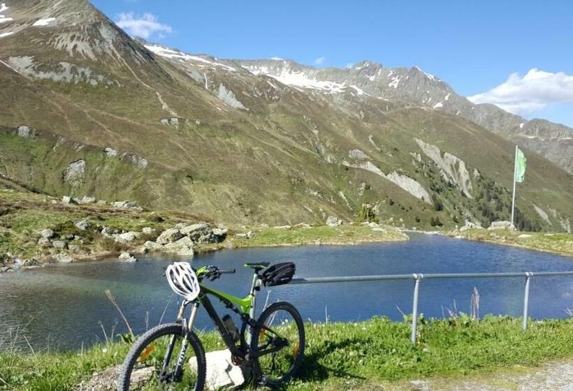 스탠다드 싱글 룸, Garni Valülla