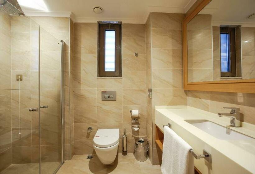 اتاق استاندارد, Ramada By Wyndham Bursa Cekirge Thermal & Spa