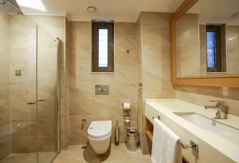 اتاق استاندارد, Ramada By Wyndham Bursa Cekirge Thermal & Spa