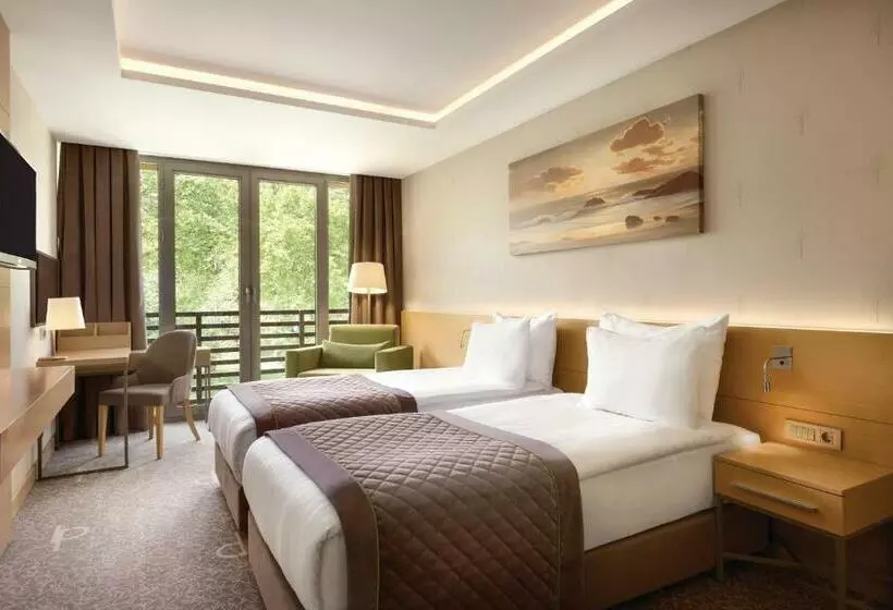 اتاق استاندارد, Ramada By Wyndham Bursa Cekirge Thermal & Spa