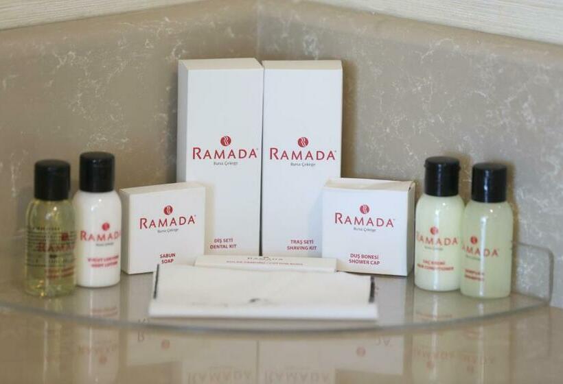 اتاق استاندارد برای معلولان, Ramada By Wyndham Bursa Cekirge Thermal & Spa