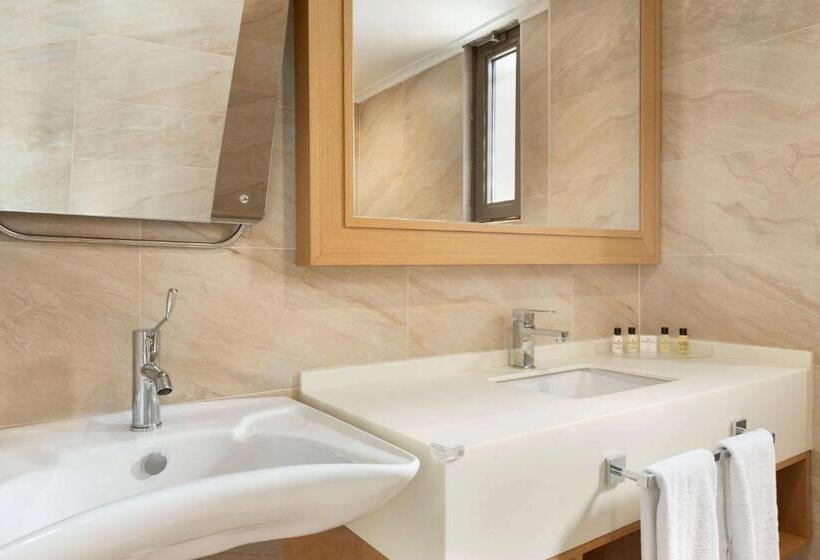 اتاق استاندارد برای معلولان, Ramada By Wyndham Bursa Cekirge Thermal & Spa