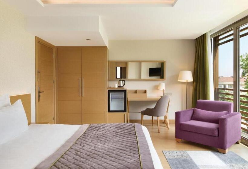 اتاق استاندارد با تخت بزرگ, Ramada By Wyndham Bursa Cekirge Thermal & Spa