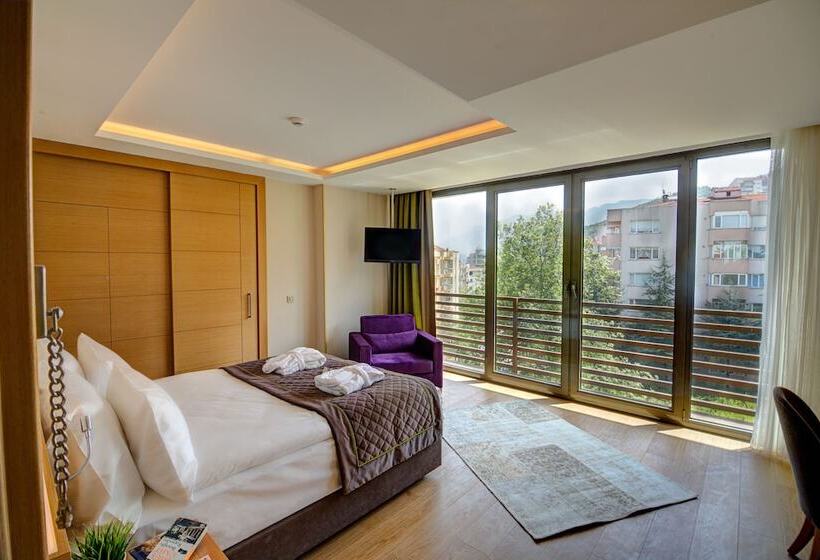 اتاق استاندارد, Ramada By Wyndham Bursa Cekirge Thermal & Spa