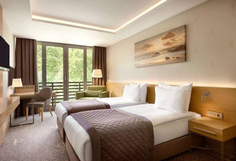 اتاق استاندارد, Ramada By Wyndham Bursa Cekirge Thermal & Spa