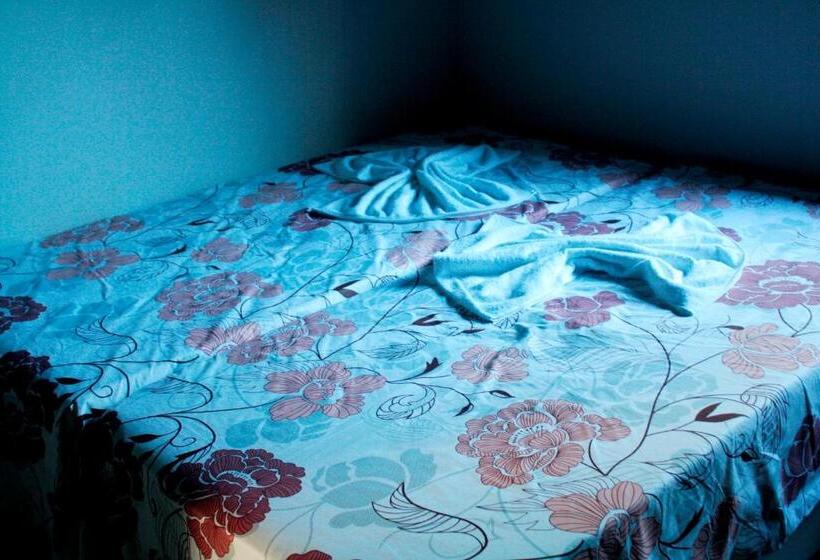 Номер Стандарт, Albergue Cultural São Salomão